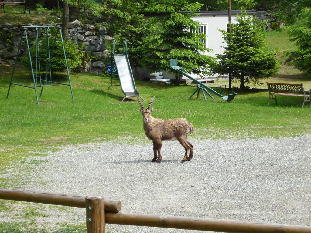 Hotel Fior Di Roccia ガブイ エクステリア 写真